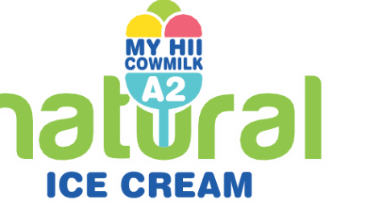 Natural Ice Cream logo